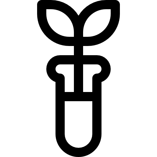 Icon of green outdoor courtyard